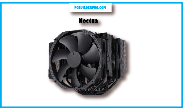 Noctua