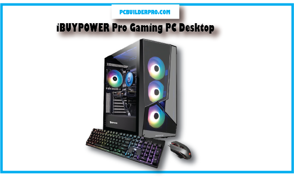 iBUYPOWER Pro Gaming PC Desktop