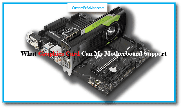 What Graphics Card Can My Motherboard Support